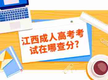 江西成人高考考試在哪查分?