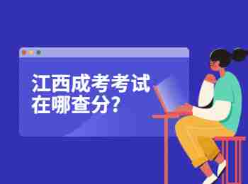 江西成考考試在哪查分