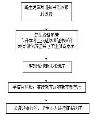 新生學籍注冊流程
